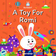 A Toy For Romi