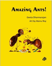 Amazing Ants!